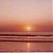 LIGHT HOUSE BEACH (ml) in Kodungallur city
