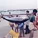 LIGHT HOUSE BEACH (ml) in Kodungallur city