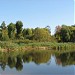 Пруд в городе Бобруйск