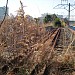 Abandon Fuel Line in Yokohama city