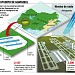 Aeropuerto Internacional Chongón-Daular