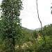 Đồi Ghềnh Ráng (Xuân Vân) (vi) in Qui Nhơn city