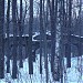 Полуразрушенный декоративный грот-мост – памятник архитектуры в городе Москва