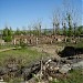Казарма 1 и 3 рдн в городе Нерчинск