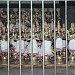 NAYANAR MUTHAPPAN TEMPLE,VELLANGALLUR,P.O.KONATHUKUNNU   in Kodungallur city