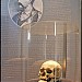 Skull Tower in Niš city