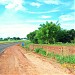 Km 22 da Estrada Vicinal Santa Rosa do Viterbo/Cajuru na Cajuru city