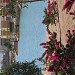 Cluster 8  in El Gouna city