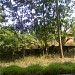 Puthuparambath Suresh in Kozhikode city