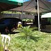 Parque Maracanã na Goiânia city