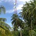 SHIRKADA NETCO   in Bosaso city