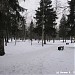 Парковая зона в пос. Шереметьевский в городе Долгопрудный