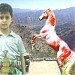 ارضية الشيخ-عادل احمد سعيد مكرد في ميدنة مـــــــديـــــنة الــــحديــــــدة 