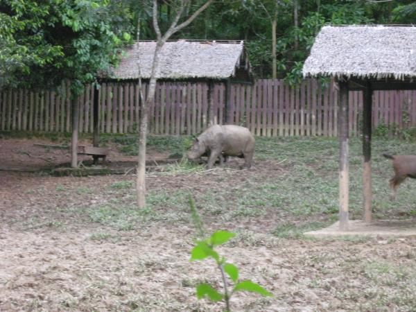 Lok Kawi Wildlife Park