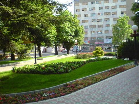 Зайчар