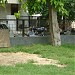 Rakesh Dhull Abode - Karnal in Karnal city