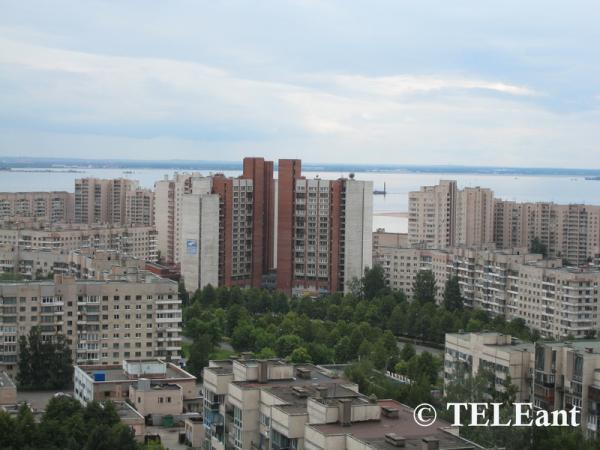 Пунк Вунк