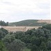 Рекультивированная свалка в городе Киев