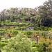 Oedo Botanical Garden in  Hallyeo Haesang National Park