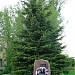 Памятник жертвам политических репрессий в городе Куровское