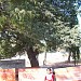 Shree Raam Temple, Saniya Kande in Saniya Kande city