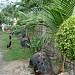 B and J Store ( PEREZ RESIDENCE'S) in Danao city