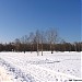 Центральный парк в городе Долгопрудный