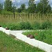 Мемориальное кладбище советских воинов в городе Ржев