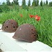 Мемориальное кладбище советских воинов в городе Ржев