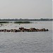 Заброшенный пляж в городе Шлиссельбург
