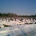 Новое Муринское кладбище в городе Мурино
