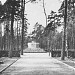 Cemetery in Klaipėda city
