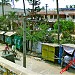 Balasore Bhadrak District Central Co-operative Bank, Balasore in Balasore city