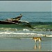 Kara Beach in Kodungallur city