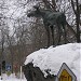 Скульптура лося в городе Щёлково