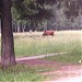 Футбольное поле в городе Ашукино