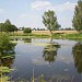 Дачный пруд в городе Ашукино