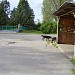 Конечная автобусная остановка «Посёлок Торфопредприятие» в городе Королёв