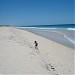 beach access track 19 in Perth, WA city