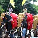 kunamkuzhi Amballam Thetikuzhi Kurathikadu-Varenikkal, 010