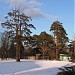Мини-зона отдыха в городе Мурино