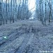 Просека – продолжение Ивантеевской ул. в городе Москва
