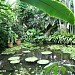 Jardín Botánico