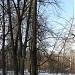 Сохранившиеся восемь деревянных столбов линии электропередач в городе Москва