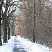 Сохранившиеся восемь деревянных столбов линии электропередач в городе Москва