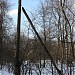 Сохранившиеся восемь деревянных столбов линии электропередач в городе Москва