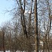 Сохранившиеся восемь деревянных столбов линии электропередач в городе Москва