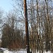 Сохранившиеся восемь деревянных столбов линии электропередач в городе Москва