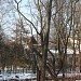 Сохранившиеся восемь деревянных столбов линии электропередач в городе Москва