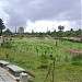 Parque Mirador de los Nevados in Bogota city